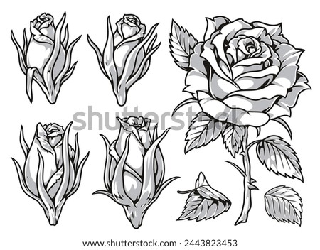Beautiful flowers monochrome set labels with roses to create festive bridal bouquet or romantic gift vector illustration