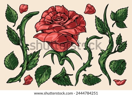 Scarlet rose set stickers colorful with flower and petals to create romantic Valentine day gift design vector illustration