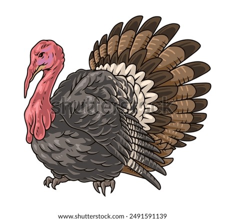 Adult turkey colorful set stickers with domesticated farm bird that is symbol of thanksgiving day vector illustration