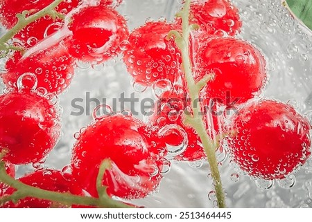 Similar – Image, Stock Photo Delicious red cocktail and barman tools on table