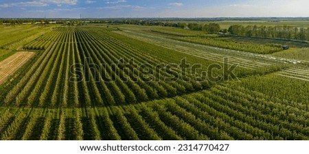 Similar – Image, Stock Photo Apple orchard with protective nets in summer