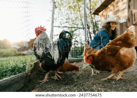 Similar – Image, Stock Photo Happy chicken Nature