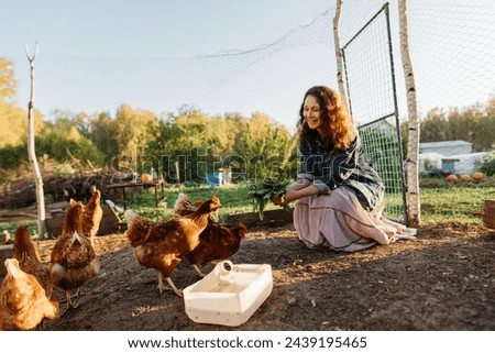 Similar – Image, Stock Photo Happy chicken Nature