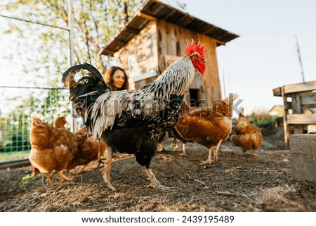 Similar – Image, Stock Photo Happy chicken Nature