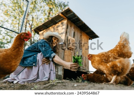 Similar – Image, Stock Photo Happy chicken Nature