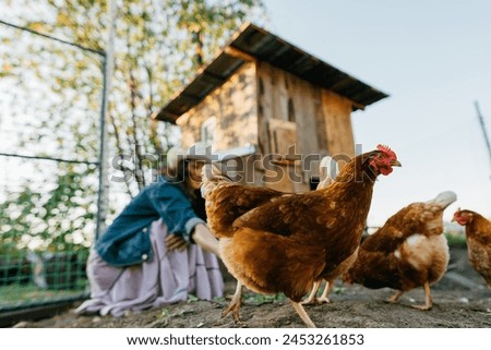 Similar – Image, Stock Photo Poultry at chicken farm