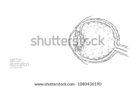 Human eyeball render low poly. Polygonal white gray monochrome future medicine technology science medical poster. Vision ophthalmology health eye world day vector illustration