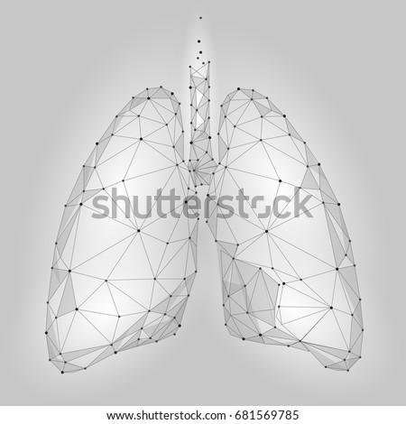 Human Internal Organ Lungs. Low Poly technology design. White Gray color polygonal triangle connected dots. Health medicine icon background vector illustration