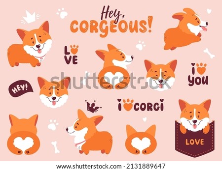 Corgi set. Funny puppies, hand letterings and other design elements - bone, crowns, hearts, footprint. Different poses - dog is standing, running, sitting in a pocket, back view of a cute butt. Vector