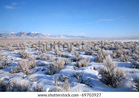 The Great Basin Desert in Nevada in Winter.