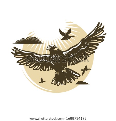 Falconry hunting logo. Predator species with broad wings, sharp beaks and claws. Hawk with grey plumage flying in sky. Vector illustration.