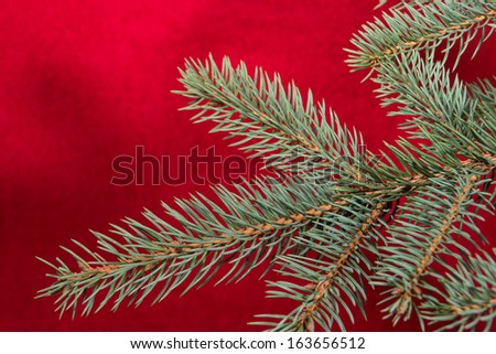 Christmas tree  snowflakes ornamental shrubs branches New year red background