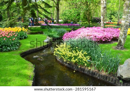 Keukenhof garden, Netherlands -May 10: P.Colorful flowers and blossom in dutch spring garden Keukenhof which is the world\'s largest flower garden. Keukenhof Garden, Lisse, Netherlands - May 10, 2015