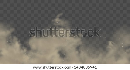Road dust cloud with dirt or soil particles, brown color powder splash frozen motion 3d realistic vector illustration isolated on transparent background. City smog, dirty smoke texture. Air pollution