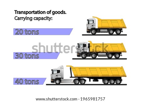 Infographics of the carrying capacity of dump trucks for the transportation of bulk cargo with a carrying capacity of 20, 30 and 40 tons. Flat vector illustration. Stok fotoğraf © 