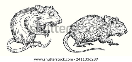 Rat silhouette in vintage hand drawn style. Monochrome illustration for tattoo, mascot, emblem. Vector illustration.