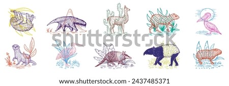 Set color birds and animals south america in hand drawn vintage style. Anteater, tapir, capybara, otter, pelican, armadillo, ibis, sloth, guanaco, agouti. Sketch vector illustration. 