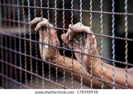 prisoner hand in jail. freedom concept