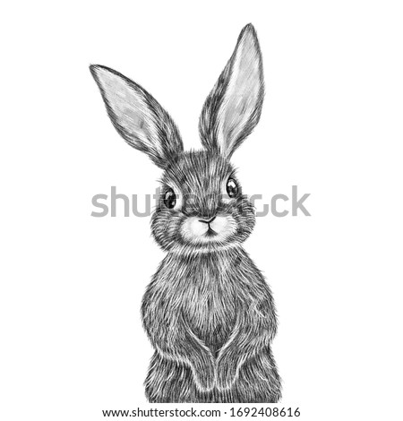 Cute hand drawn rabbit portrait. Nursery poster