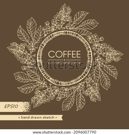 Circle with coffee tree branches sith coffee lettering inside. Linear hand-drawn sketch, monochrome vector botanical illustration.