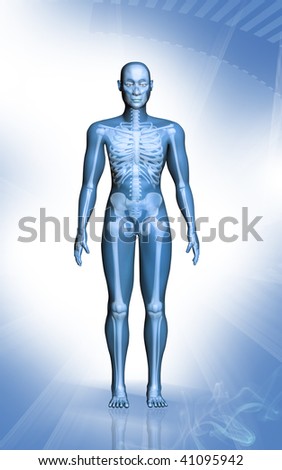 Digital Illustration Of Human Body In Colour Background - 41095942 ...