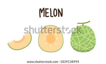 Melon logo vector. melon on white background. Half melon.