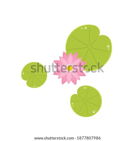 Lily Pad Find And Download Best Transparent Png Clipart Images At Flyclipart Com