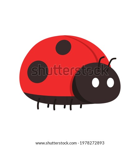 Download Animal Ladybug Wallpaper 1920x1080 | Wallpoper #214186