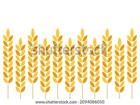 Wheat pattern wallpaper. Oat symbol. Rice sign. Rice pattern wallpaper.