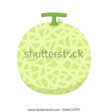 Melon vector. melon on white background. wallpaper. logo design. 