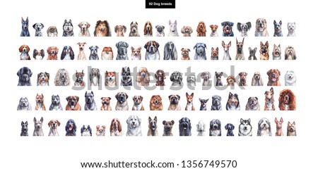 Set of watercolor portraits of 92 dog breeds