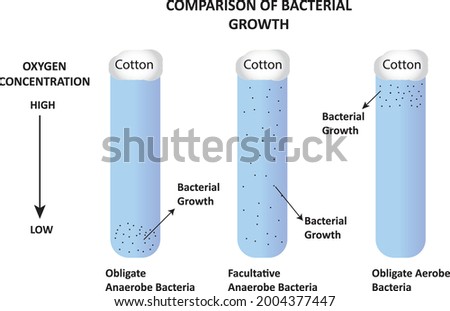 Comparison of bacterial growth depends on oxygen concentration Stockfoto © 