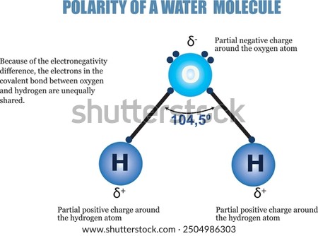 Polarity of a Water Molecule on white background