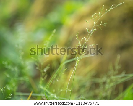 Shutterstock Puzzlepix
