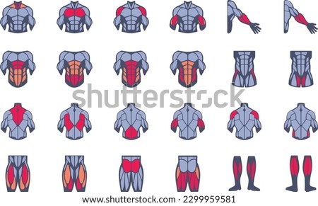 Muscles illustration icon set. It included the body, human, anatomy, muscle groups, and more icons.