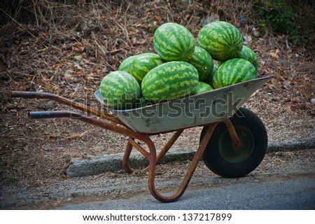 Watermelon Bounty in a Barrow