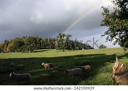 A rainbow arcs into an idyllic countryside scene in the Welsh borders, UK. Late afternoon, autumn sun breaks through the clouds, and casts a shadow in the foreground as sheep hurry by. Real rainbow.