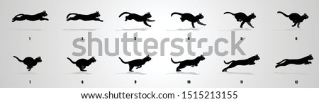 Cat Run cycle Animation sequence, animation frames