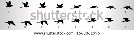 Bird flying animation sequence silhouette, loop animation sprite sheet Foto stock © 