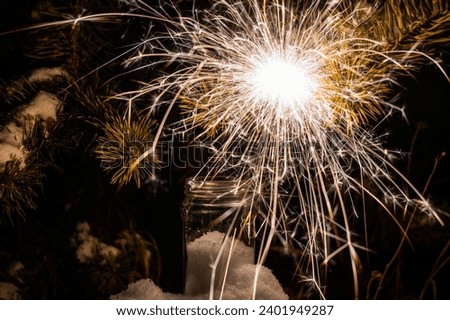 Similar – Image, Stock Photo Sparkler against blurred person in nature