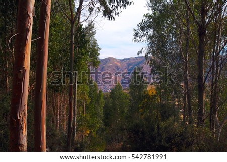 Similar – Image, Stock Photo Looking through the woods to a boat on a lake in the mountains with still reflection