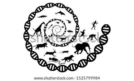 Evolution theory illustration vector design. Evolution of species. DNA - the molecule of life