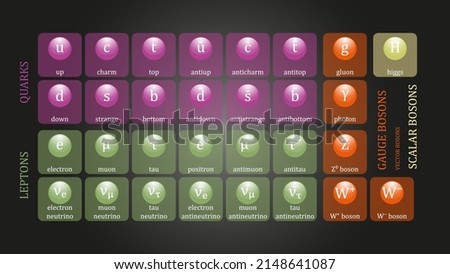 Standard Model of Elementary Particles vector design