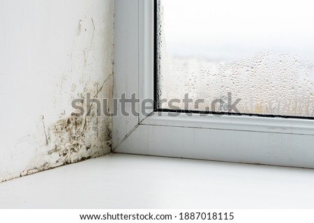 Mold in the corner of the plastic windows. ストックフォト © 