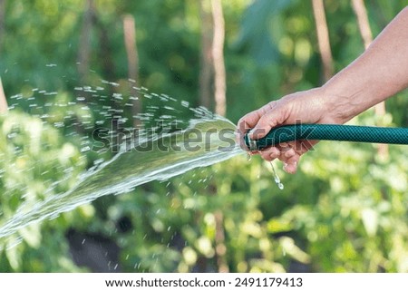 Similar – Image, Stock Photo Woman with water hose