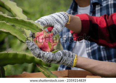 Similar – Foto Bild Männlicher Landwirt beim Beschneiden eines Obstbaums