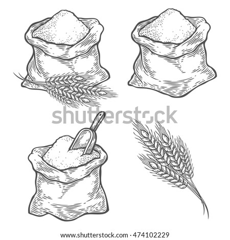 Sack with whole flour or sugar with ear wheat, scoop. Hand drawn sketch style. Vintage black vector engraving illustration set for label, web, flayer bakery shop. Isolated on white background.