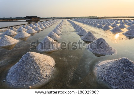 Heap of sea salt in a field prepared for harvest in saline on sunrise time