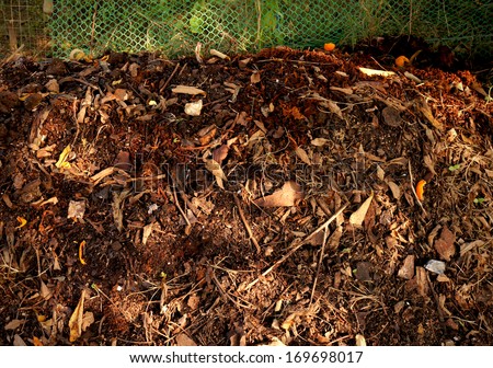Organic Fertilizer, compost (leaf pile)