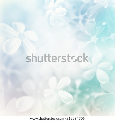 sweet color flowers in soft style for background